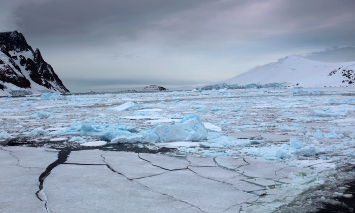 Louise Arner Boyd: Lady of the Arctic