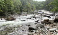 A Family Outing at a Popular Waterfall Turns Grim as Mother Drowns Trying to Rescue Son