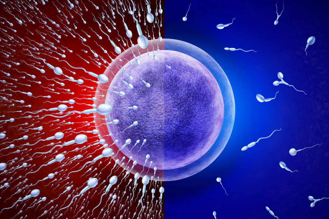 (Shutterstock/Lightspring)