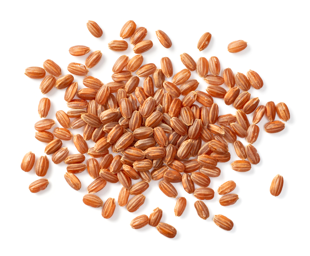 Raw Short-grain Brown Rice Isolated On White Background Top View