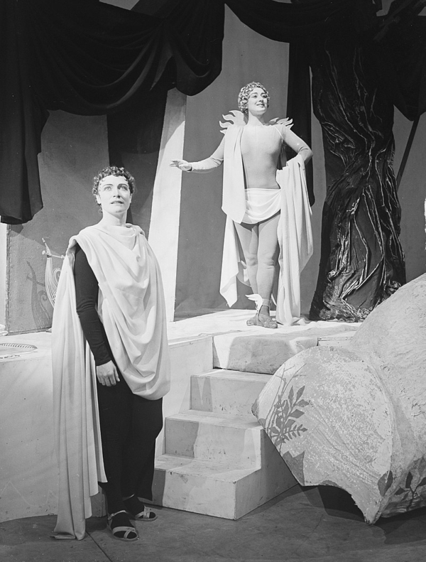 Opera voices