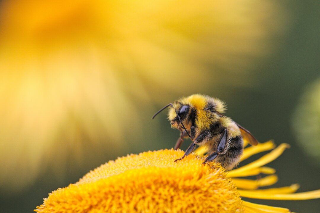 (Dmitry Grigoriev/Unsplash)