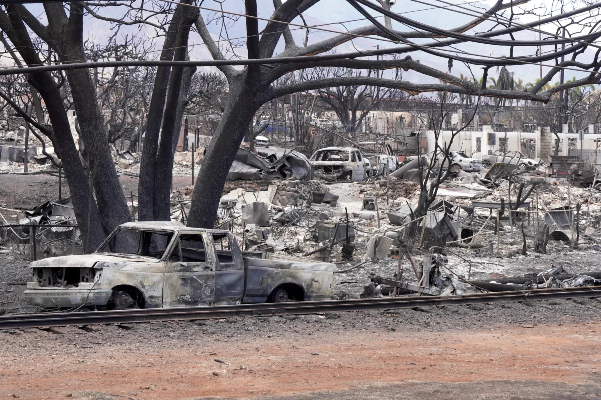 Burnt vehicles line the perimeter of a residential area in Lahaina, Maui, on Aug. 16, 2023. (Allan Stein/The Epoch Times)