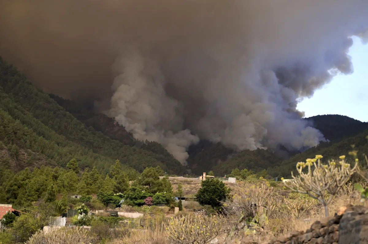 The flames advance through the forest near the town of El Rosario, as wildfire continues to burn on Tenerife, Canary Islands, Spain, on Aug. 16, 2023. (Europa Press via AP)