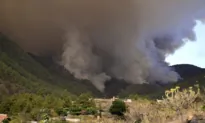 Out-of-Control Wildfire Scorches Spain’s Tenerife Island, Affecting Thousands