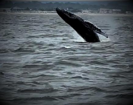 Epoch Times Photo