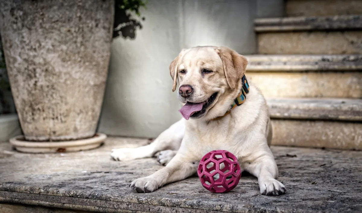 (Teresa Forbes/Shutterstock)