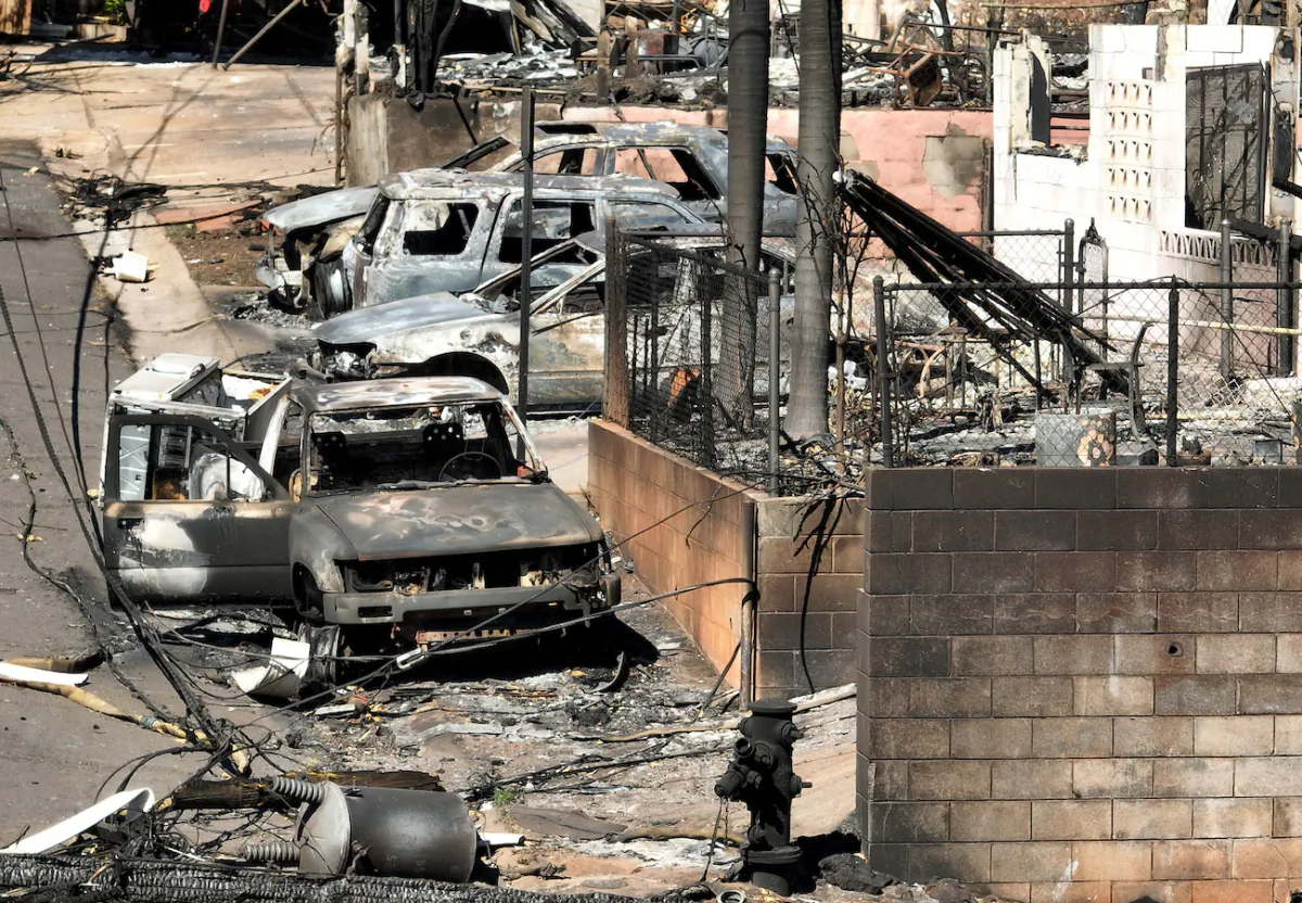 Burned cars and homes are seen a neighborhood that was destroyed by a wildfire in Lahaina, Hawaii, are seen in an aerial view on Aug. 17, 2023. (Justin Sullivan/Getty Images)
