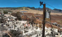 House Republicans Demand Answers on Maui Fires and Grid Safety