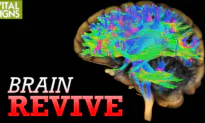 How Alzheimer’s Could Be Treated With Functional MRI and Ultrasound | Feat. Dr. Sheldon Jordan
