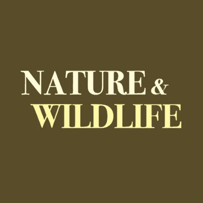 Nature & Wildlife