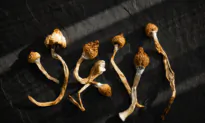 Marijuana, Vaping, and Hallucinogens Use Hits All Time High Among Adults 35 to 50: New Study
