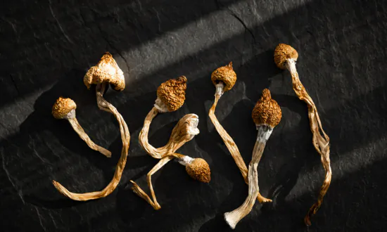 The Potential Harm of Psychedelics