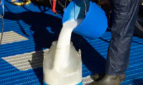 9 Cases of Salmonella Linked to Raw Milk Products Reported in San Diego
