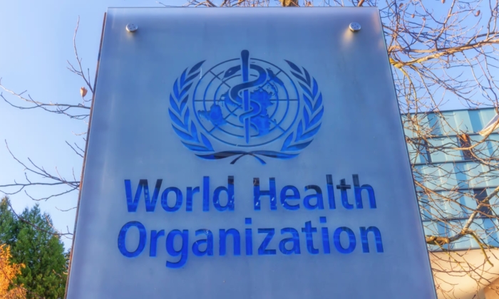 The WHO, the UN, and the Reality of Human Greed