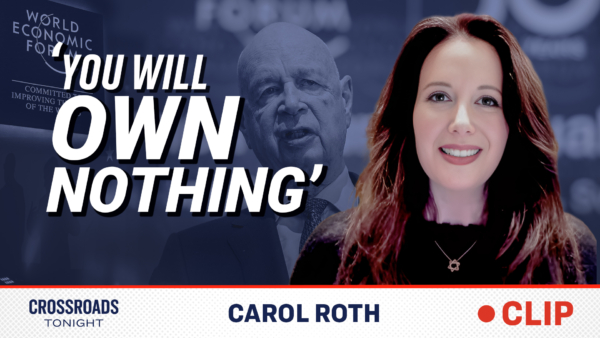 Realities of the WEF's Agenda to Have You 'Own Nothing'–Carol Roth