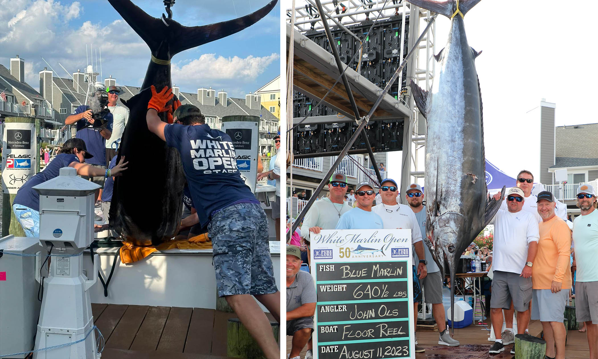 Angler Reels in 640-Pound Marlin For Multi-Million World Record-Breaking  Payout—Here's How Much
