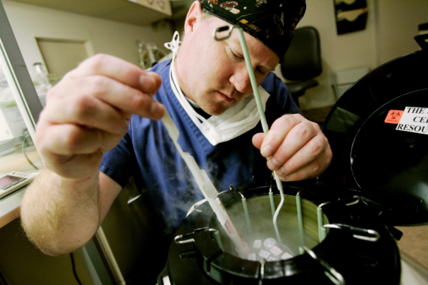 LA JOLLA, CA - FEBRUARY 28: Embryologist Ric Ross pulls out vials of human embryos from a liquid Nitrogen storage container at the La Jolla IVF Clinic February 28, 2007 in La Jolla, California. The clinic accepts donated embryos from around the country through The Stem Cell resource which are then given to stem cell research labs for research. (Photo by Sandy Huffaker/Getty Images)