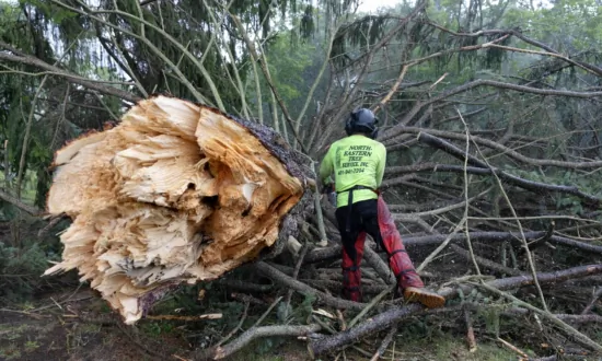 Rhode Island Tornado Lifts Car as New England Storms Flood Roads, Topple Trees