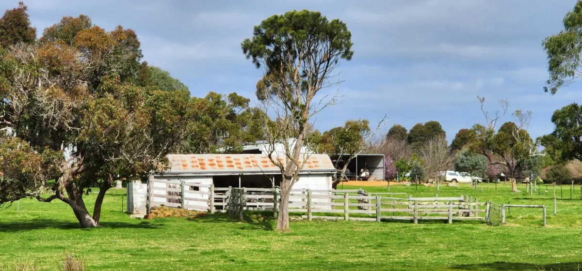 An old shed can be seen on a farm near Albany, Western Australia, on Aug. 19, 2023. (Susan Mortimer/The Epoch Times)