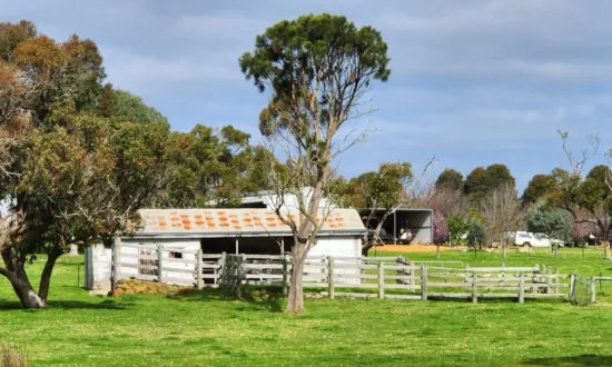 Farmers More Positive As Commodity Prices Rise
