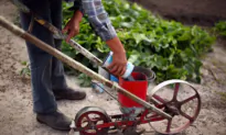Fertiliser Suppliers to Remove Unfair Terms in Contracts After ACCC Probe