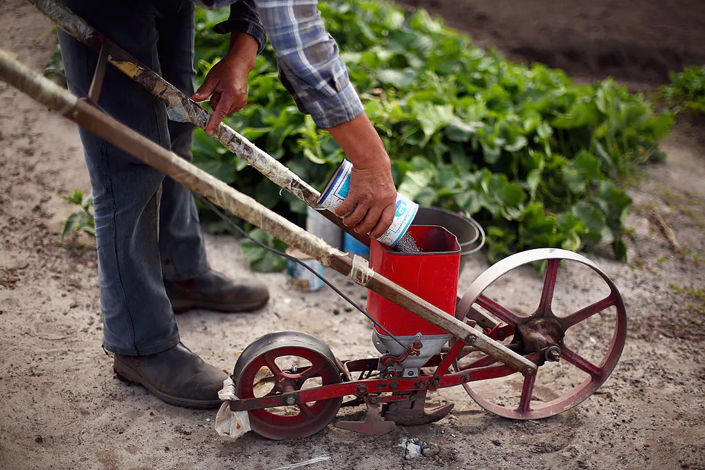 A worker fills a hopper with fertilizer in Kyeemagh Market Gardens in Sydney, Australia.  (Mark Kolbe/Getty Images)