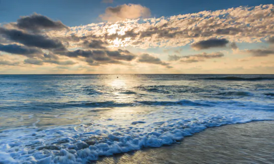 Tourists Are Getting Trapped on Remote Shark Island Off North Carolina’s Outer Banks, Park Warns