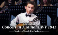 J. S. Bach: Concert in A Minor BWV 1041