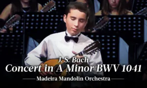 J. S. Bach: Concert in A Minor BWV 1041