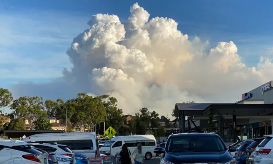 How to Protect Yourself From Smoke Haze During Bushfire Season