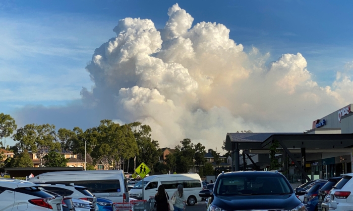 How to Protect Yourself From Smoke Haze During Bushfire Season