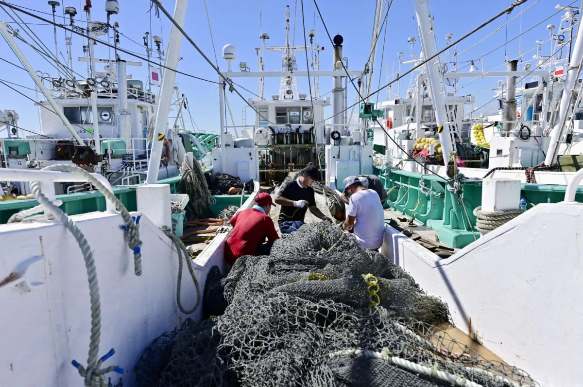 Fishermen boarding trawlers prepare for a fishing operation at Matsukawaura fishing port in Soma, near the tsunami-crippled Fukushima Daiichi nuclear power plant, Japan, on Aug. 22, 2023. (Kyodo via Reuters)