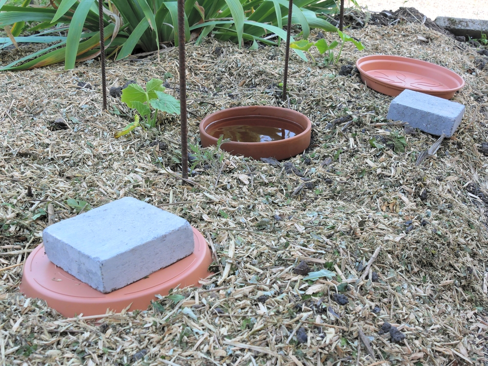 Diy Continuous Jar Watering System Called Oyas Or Ollas Around