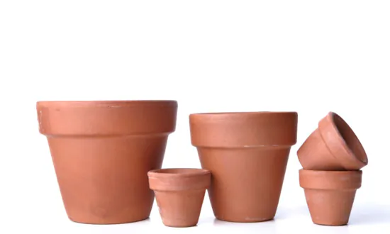 Irrigation Without Irritation: Tips and Tricks for Easier Watering