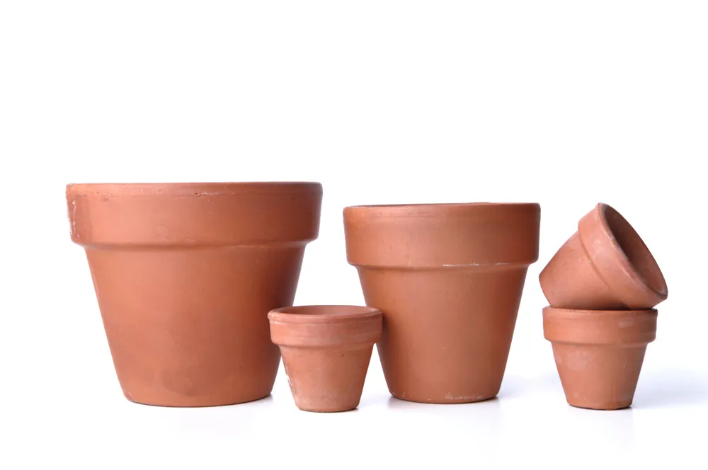 Terra cotta pots can be buried beside plants and filled with water to release consistent moisture. (sanddebeautheil/Shutterstock)
