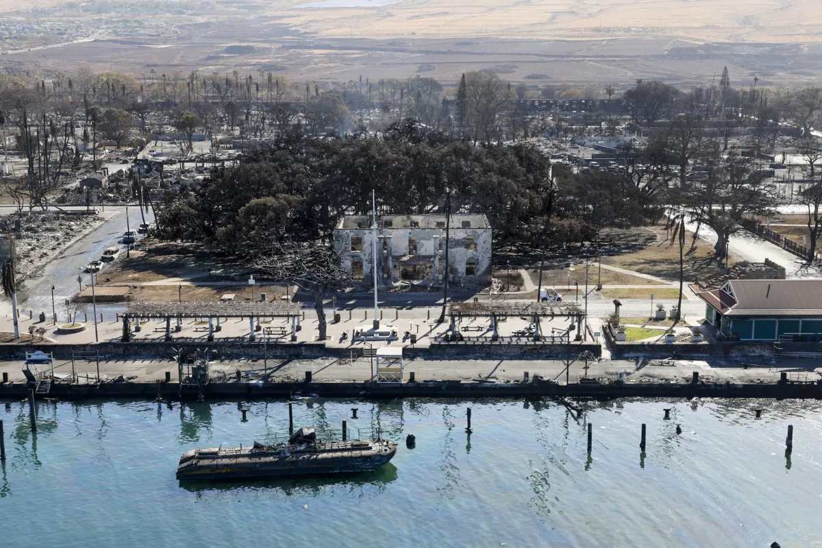Lahaina, Maui, on Aug. 11, 2023 - The iconic Banyan tree stands among the rubble of burned buildings days after a catastrophic wildfire swept through the city. (Robert Gauthier/Los Angeles Times)