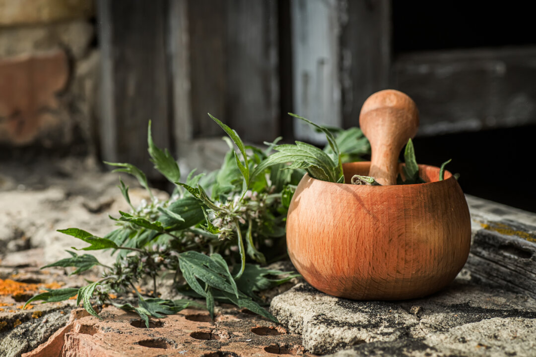 (Lipatova Maryna/Shutterstock)