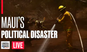 Maui Turning Into Political Disaster for Democrats; Push to Use Maui for Climate Emergency | Live With Josh