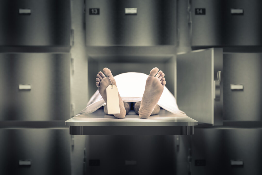 gualtiero boffi/Shutterstock