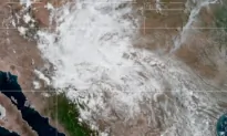 Flash Flooding Possible in Texas, New Mexico, Utah as Tropical Storm Harold Weakens to High-Rainfall Tropical Depression
