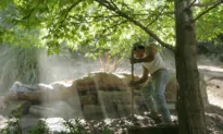 California Landscapers Worried About Green Energy Transition