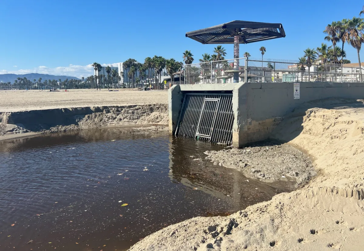 Sewage water are seen ponding near a storm drain  a day after Tropical Storm Hilary made landfall in Southern California at Venice Beach in Santa Monica, Calif., on Aug. 21, 2023. (Courtesy of Soledad Ursúa)