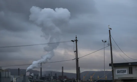 South32 Fails to Avert Prolonged Strike at Appin Coal Mine