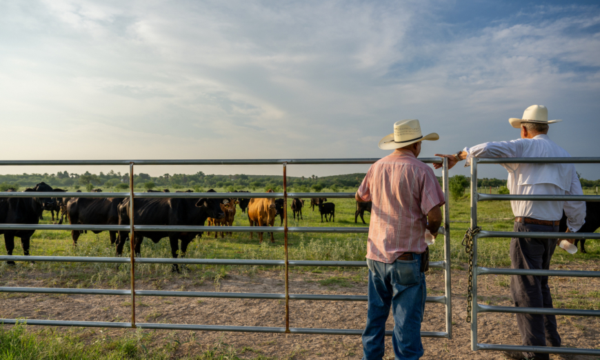 Texas Proposition 1: Safeguarding Farmers, Ranchers, and Food Security