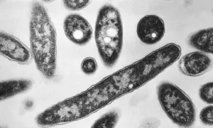 6 Dead, 111 Sickened in New York City Legionnaires’ Disease Outbreak