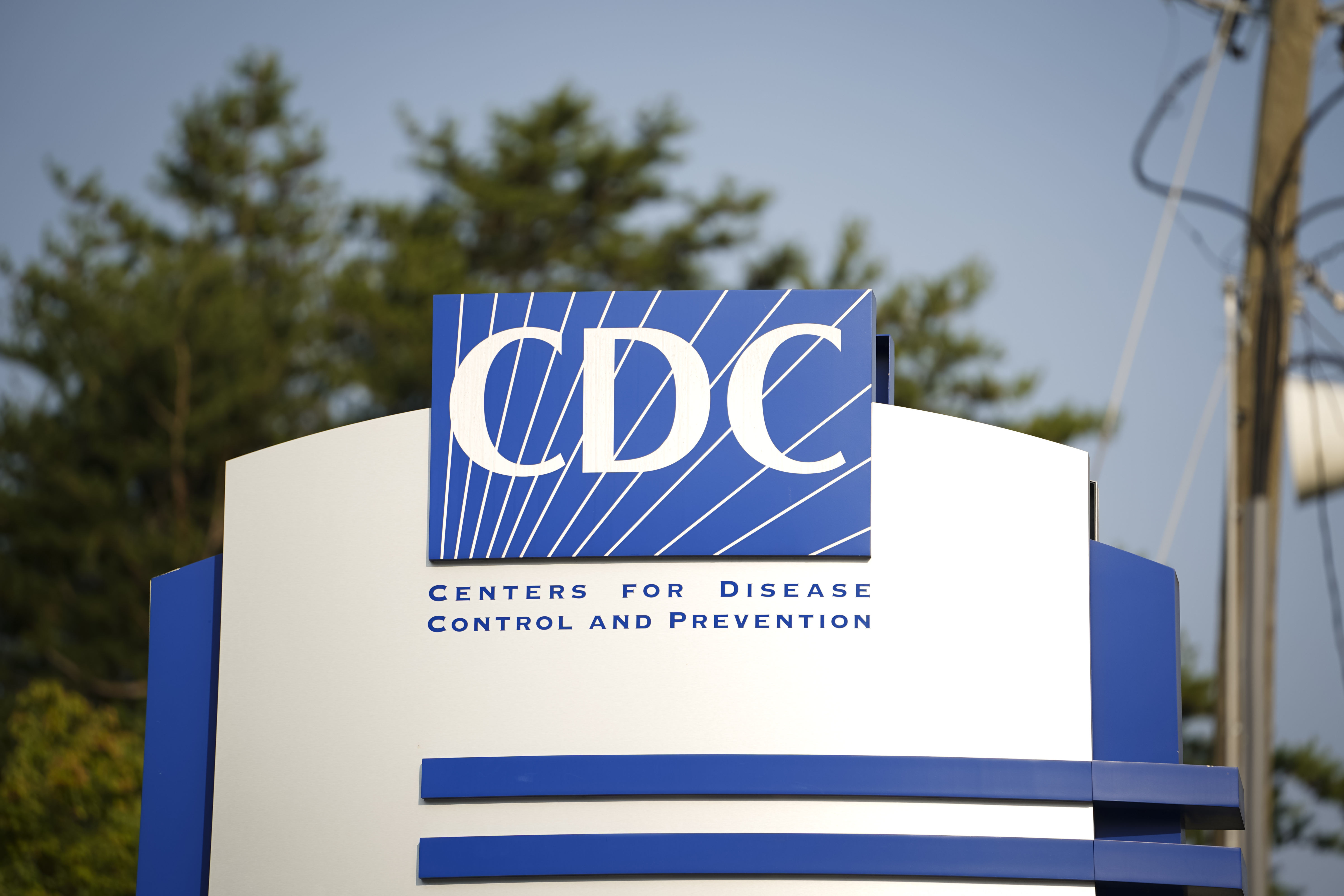 CDC Study Warns About Parasitic Brain Worms Found in Georgia