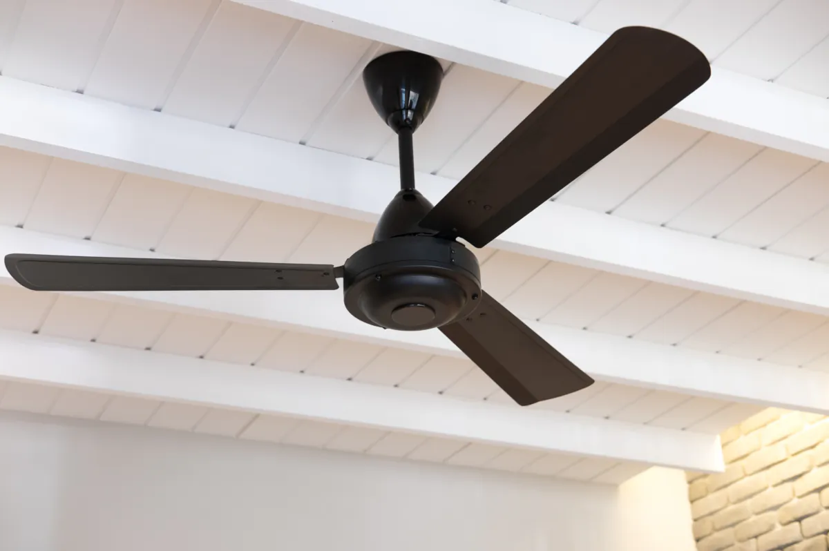 A ceiling fan. (Mocha.VP/Shutterstock)