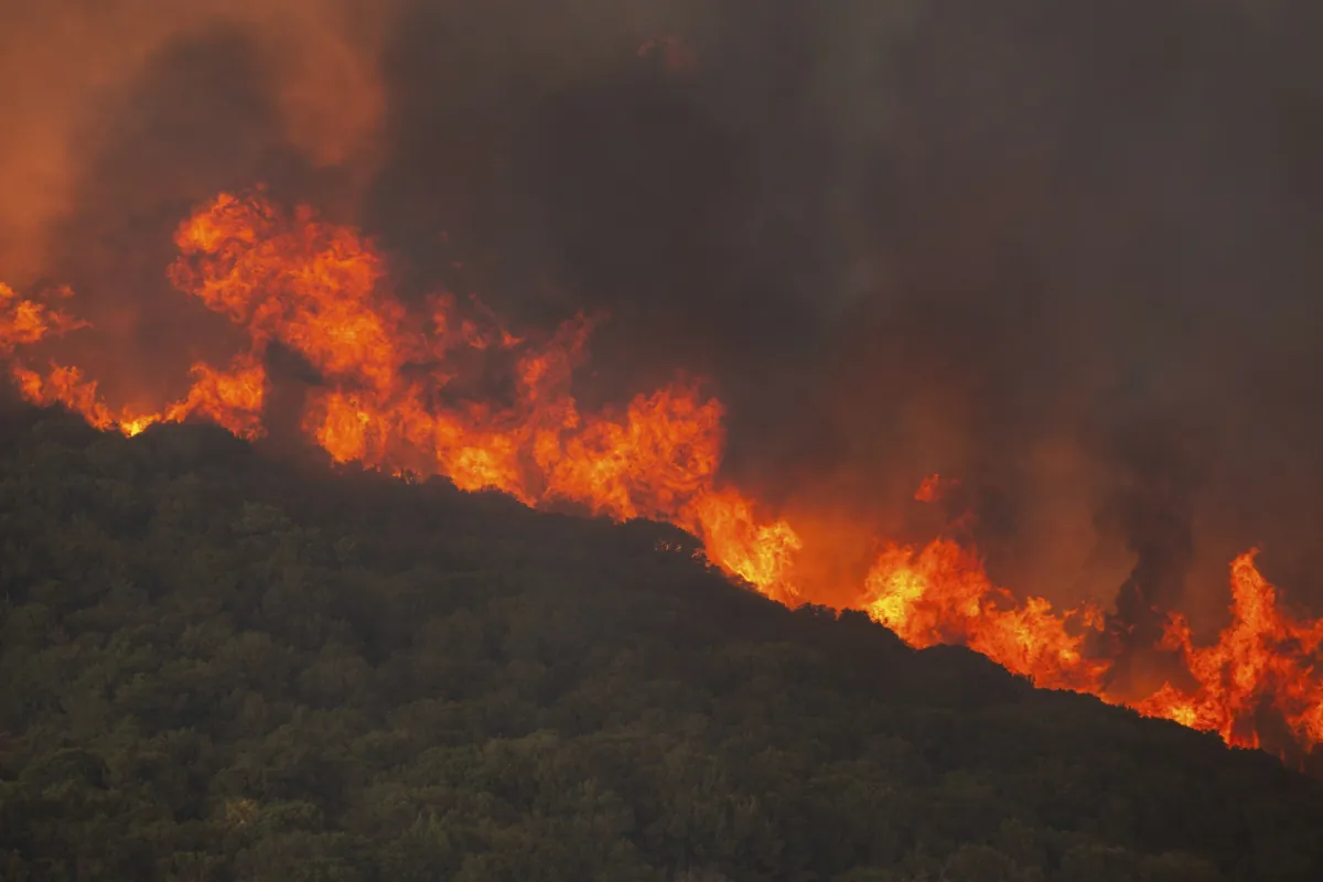 Flames burn a forest during wildfires near the village of Sykorrahi, near Alexandroupolis town, in the northeastern Evros region of Greece, on Aug. 23, 2023. (Achilleas Chiras/AP Photo)