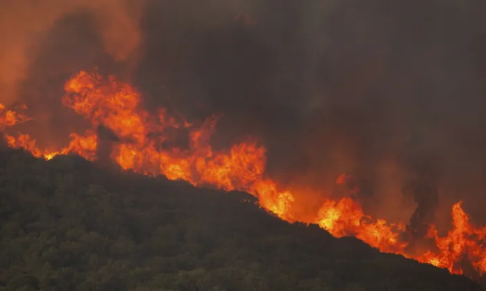 Flames burn a forest during wildfires near the village of Sykorrahi, near Alexandroupolis town, in the northeastern Evros region of Greece, on Aug. 23, 2023. (Achilleas Chiras/AP Photo)